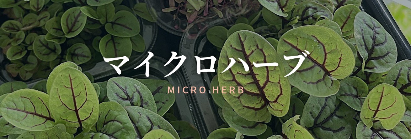 マイクロハーブ